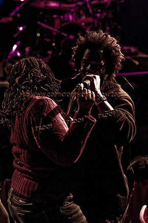 Copyright 2009 www.Coppatopphotos.com