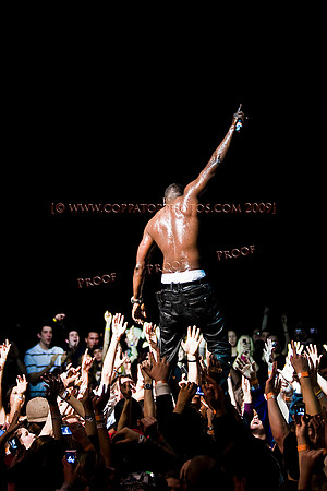 Copyright 2009 www.Coppatopphotos.com