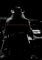 Copyright 2009 www.Coppatopphotos.com