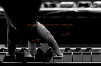 Copyright 2009 www.Coppatopphotos.com
