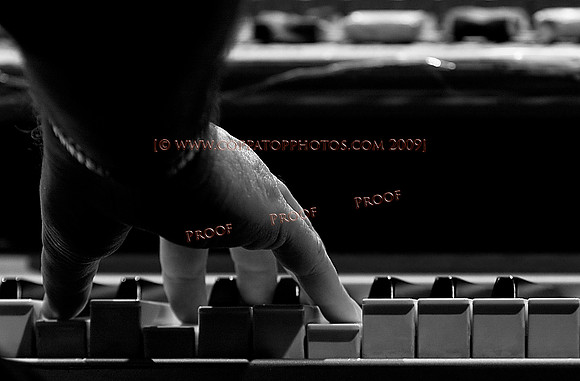 Copyright 2009 www.Coppatopphotos.com