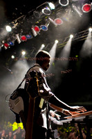 Copyright 2009 www.Coppatopphotos.com