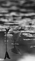 Borderland State Park