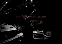 Copyright 2009 www.Coppatopphotos.com