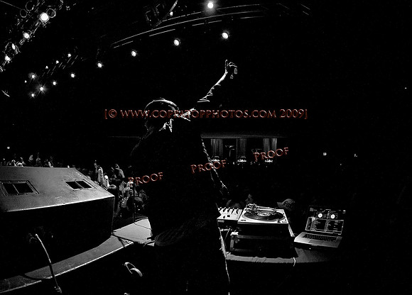 Copyright 2009 www.Coppatopphotos.com