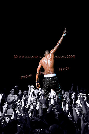 Copyright 2009 www.Coppatopphotos.com