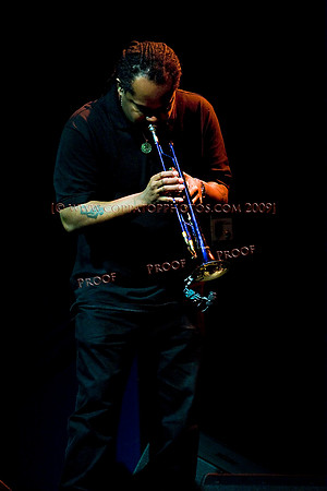 Copyright 2009 www.Coppatopphotos.com