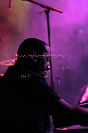Copyright 2009 www.Coppatopphotos.com