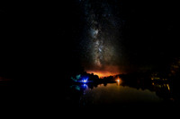 Night Nature