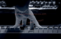 Copyright 2009 www.Coppatopphotos.com