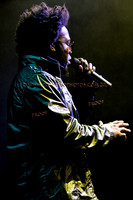 Copyright 2009 www.Coppatopphotos.com
