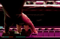 Copyright 2009 www.Coppatopphotos.com