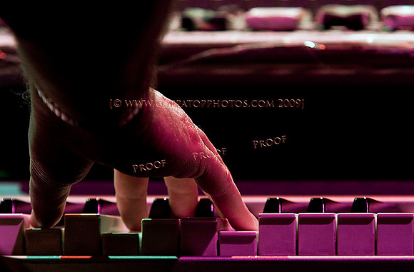 Copyright 2009 www.Coppatopphotos.com