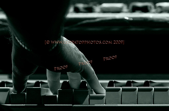 Copyright 2009 www.Coppatopphotos.com