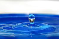 Macro, Abstract, Experimental