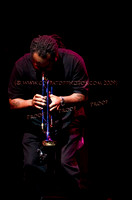 Copyright 2009 www.Coppatopphotos.com