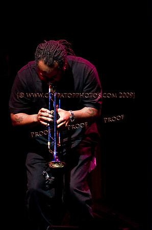 Copyright 2009 www.Coppatopphotos.com
