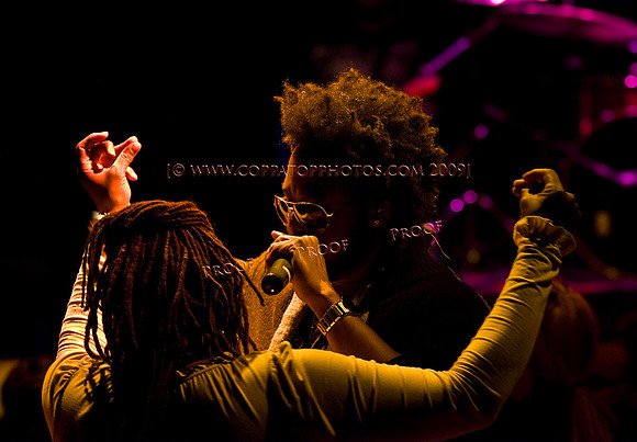 Copyright 2009 www.Coppatopphotos.com
