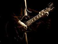 Copyright 2009 www.Coppatopphotos.com