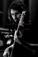 Copyright 2009 www.Coppatopphotos.com