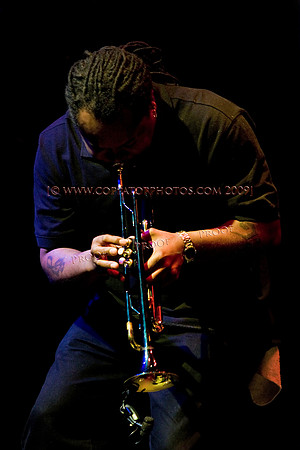 Copyright 2009 www.Coppatopphotos.com
