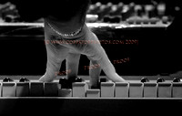 Copyright 2009 www.Coppatopphotos.com