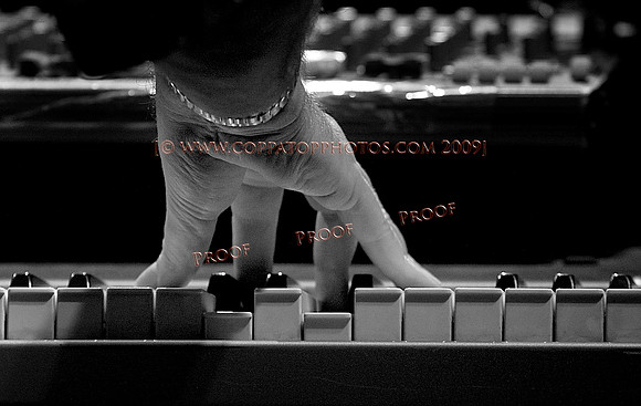 Copyright 2009 www.Coppatopphotos.com