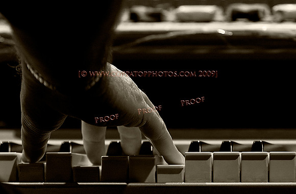 Copyright 2009 www.Coppatopphotos.com