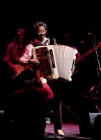 Copyright 2009 www.Coppatopphotos.com