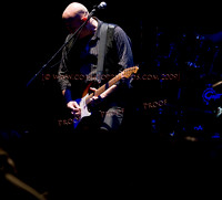 Copyright 2009 www.Coppatopphotos.com